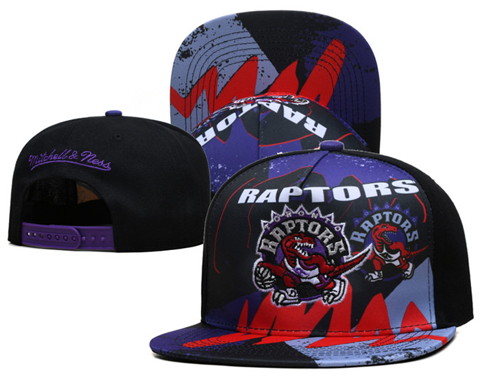 Toronto Raptors Stitched Snapback Hats 0027